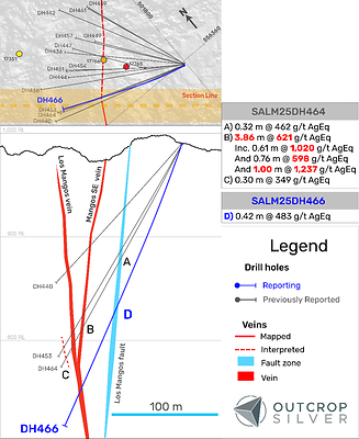Figure 2. Geological cross-section showing the Los Mangos vein system. The section width is 30 metres. (CNW Group/Outcrop Silver & Gold Corporation)