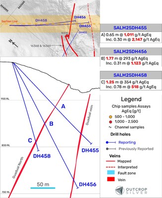 Figure 3. Geological cross-section showing the Guadual vein. Section C from Figure 1. The section’s width is 50 metres. (CNW Group/Outcrop Silver & Gold Corporation)