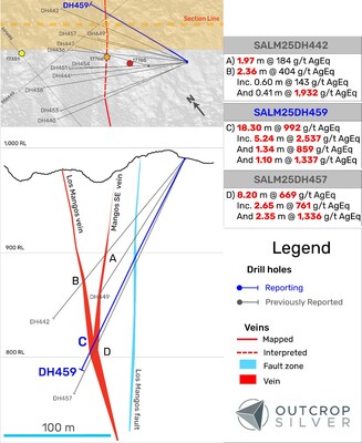 Figure 2. Geological cross-section showing the Los Mangos vein system. The section width is 75 metres. Hole DH449 encoutered a void. (CNW Group/Outcrop Silver & Gold Corporation)