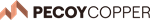 Primary Logo
