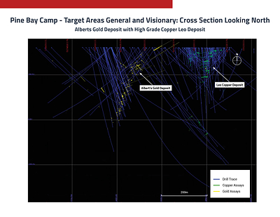 Target Areas General and Visionary Cross Section (CNW Group/Callinex Mines Inc.)