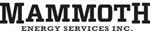 Primary Logo