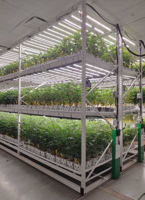 VERTICAL (CNW Group/GrowGeneration)