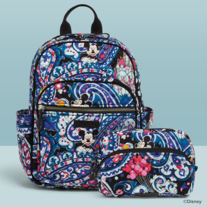 Mickey's Whimsical Paisley 7