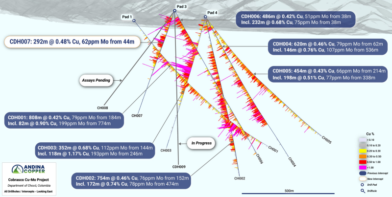Figure 2: Oblique 3D view of all drillholes at the Cobrasco Project (view looking East).