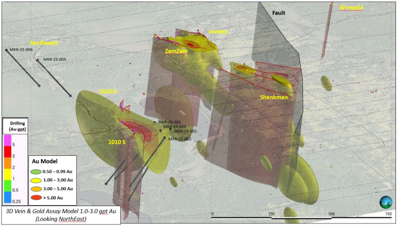 Figure 3: 3D Section showing the proposed drillhole trace in relation to gold veins and 3D-modelled gold grade isograd (1.0 to 3,0 gpt Au) at the Carscallen Property.