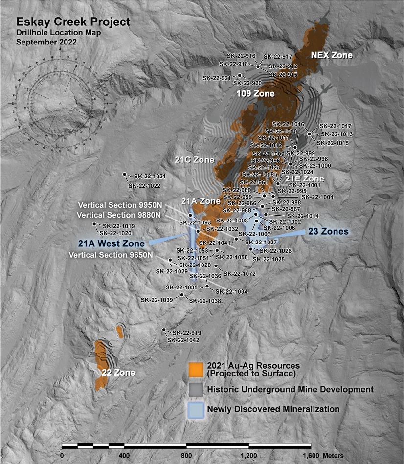 Skeena Resources