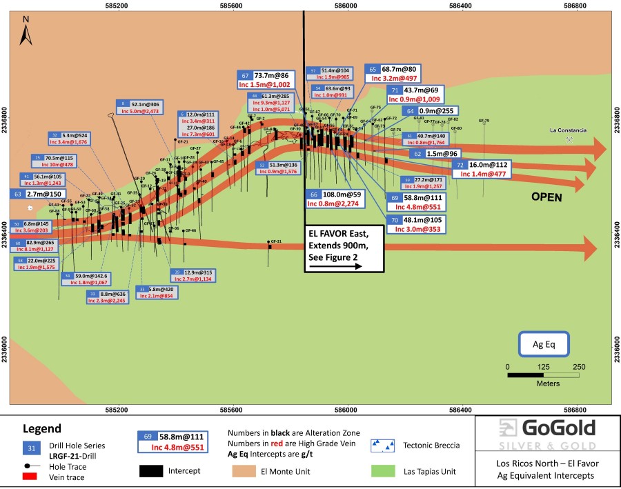 Figure 1: El Favor Drill Hole Locations (CNW Group/GoGold Resources Inc.)