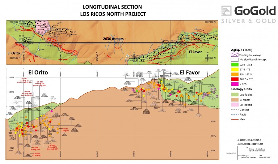 Figure 1: Favor-Orito Long Section (CNW Group/GoGold Resources Inc.)