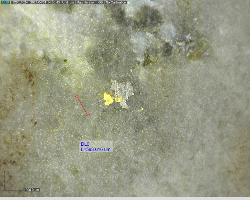 Figure 4: Example of visible gold observed in DDRCCC-24-058 at 476.9 m