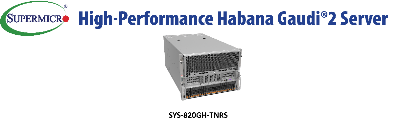 High-Performance Habana Gaudi2 Server