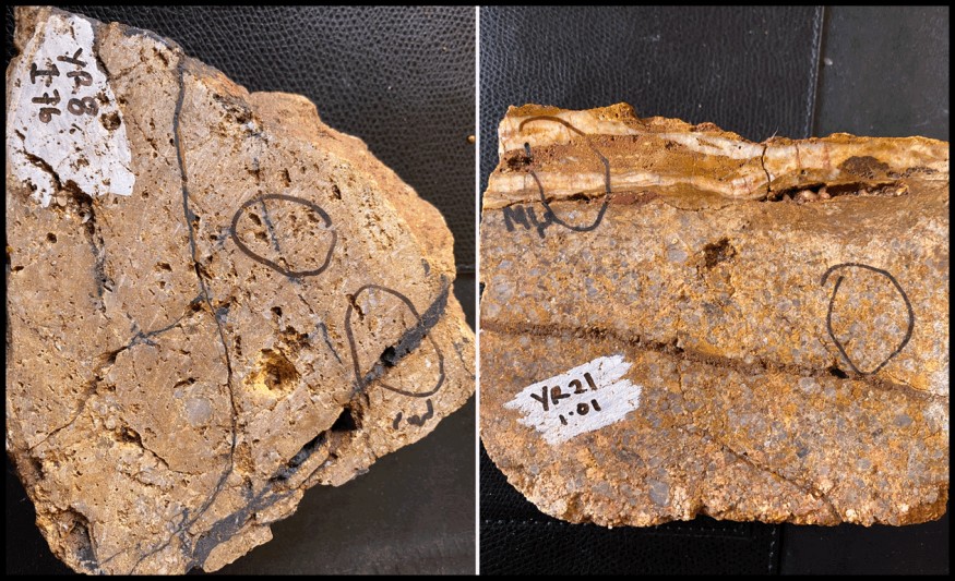 Fig-1 & Fig-2