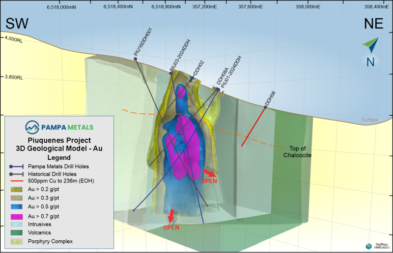Figure 2 : Piuquenes Central – SW/NE Cross Section – Gold Shell