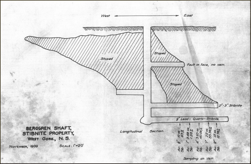 Figure 1: Cross-section of Berggren Shaft, showing historic sampling on vein