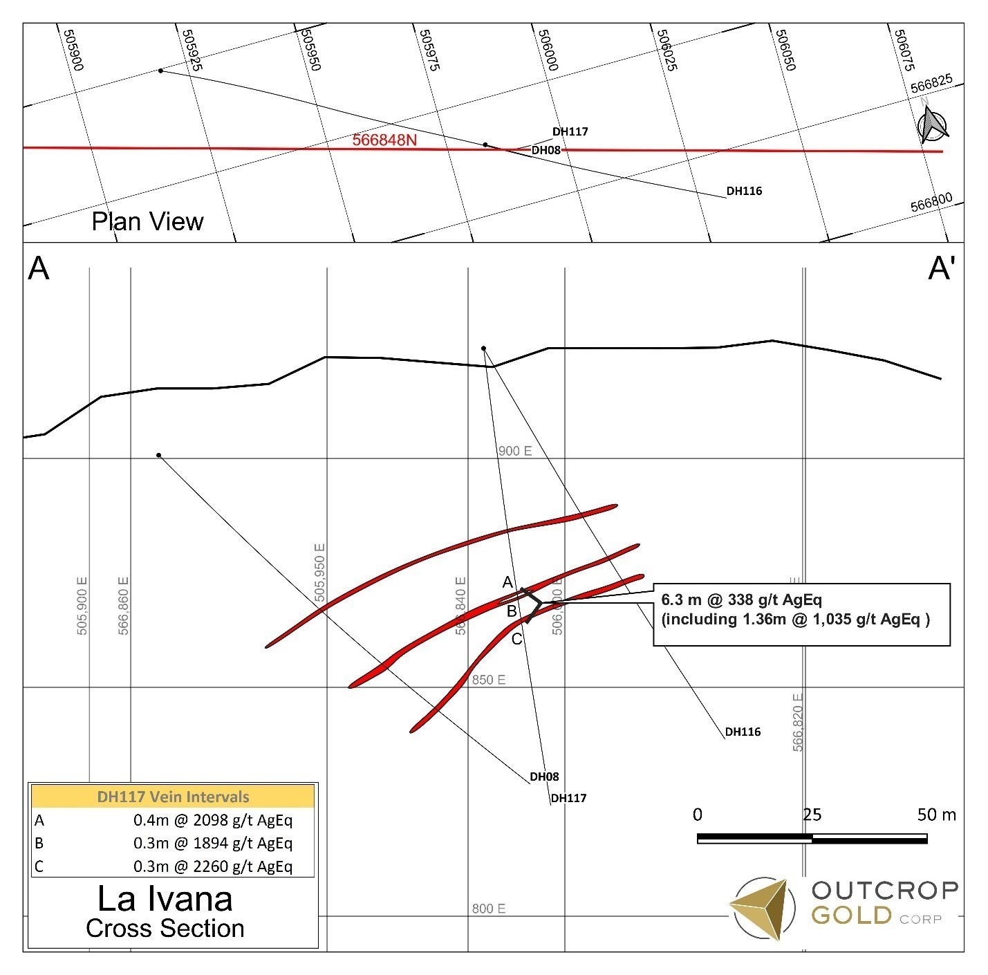Section 1: SALP21DH117 illustrated in cross-section showing compositing of three close-spaced veins providing 6.3 metres of 338 g eq Ag/t, including 1.36 metres of 1,035 g eq Ag/t. (CNW Group/Outcrop Gold Corp.)