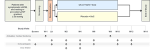 Planned Phase 2 Clinical Trial Design
