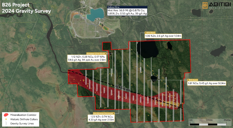 Figure 1: Completed Gravity Survey Grid