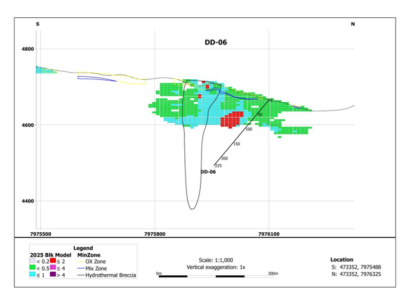 Figure 7: DD06 Cross Section