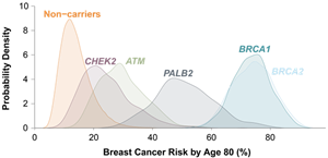 Graph 1