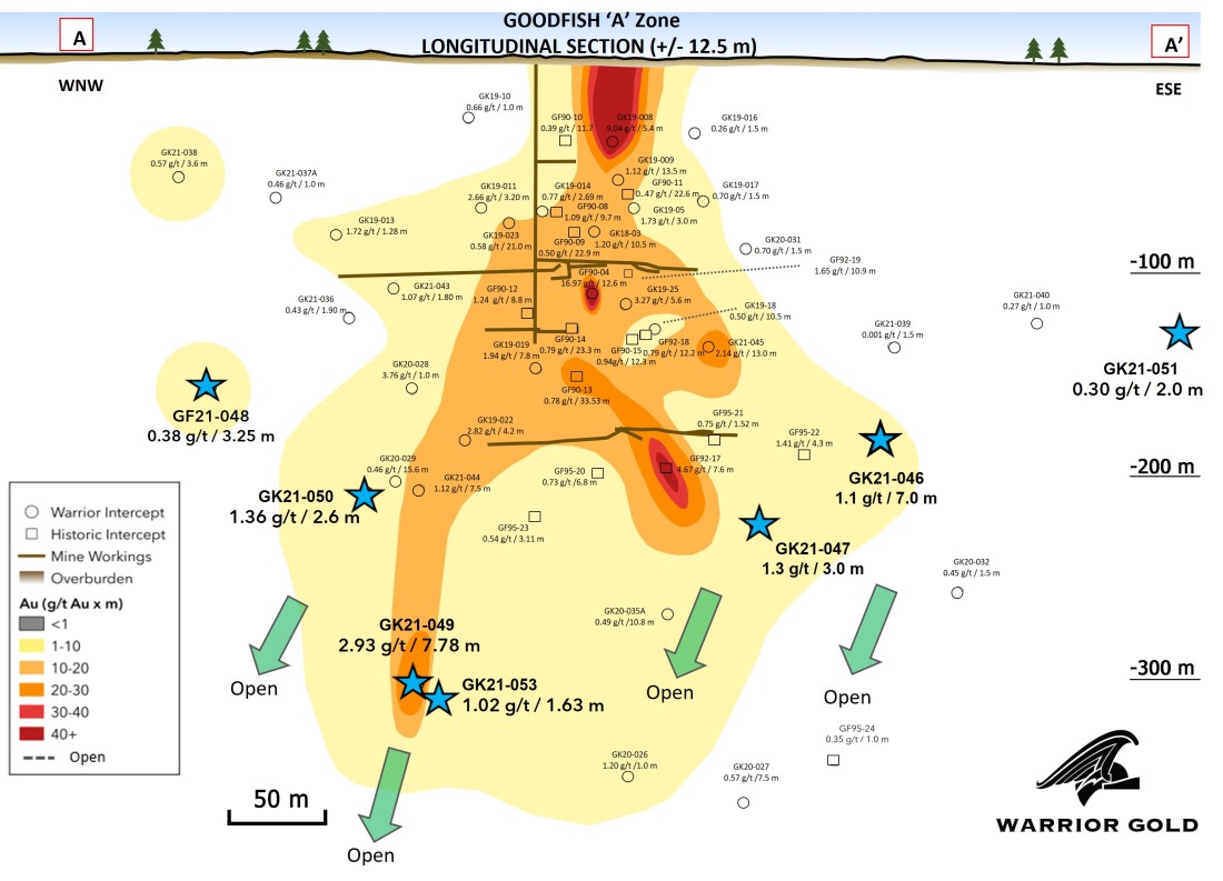 Figure 1 : A Zone Longitudinal Section (Graphic: Business Wire)