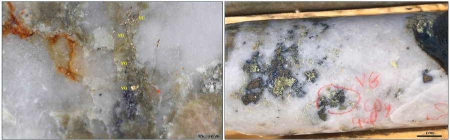 Figure 1. High-grade gold quartz-vein from WB23-139 (37.40 g/t Au over 2.50 m @ 149.50 m)