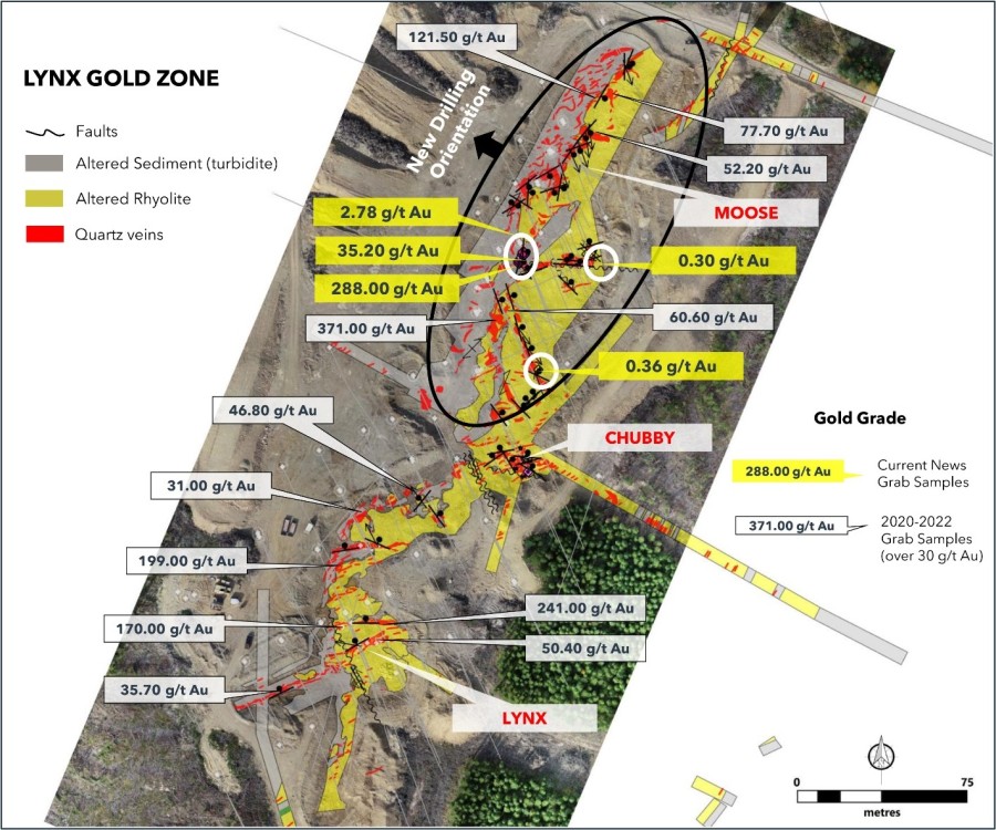 Figure 1: Surface mapping of the Lynx Gold Zone