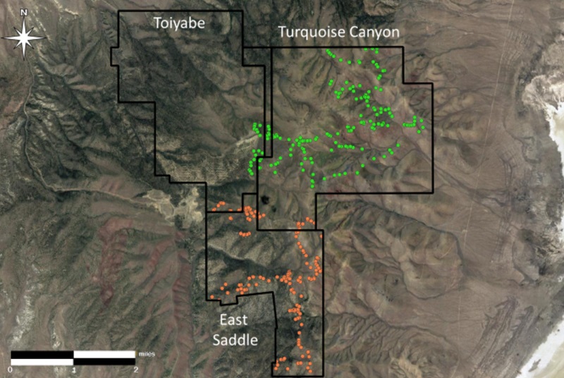 Westward Gold Announces Completion of Surface Sampling Program