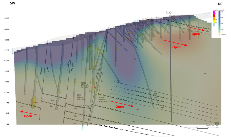 Figure 2: T2301 – Induced Polarization (Resistivity)