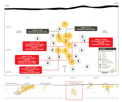 Figure 1. Golden Joint location and long-section (CNW Group/New Found Gold Corp.)