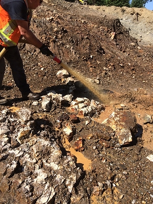 Figure 7. Exploration of Zone 36 showing broad quartz veined zone (CNW Group/New Found Gold Corp.)