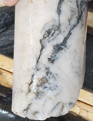 Figure 4. Example gold mineralization from NFGC-21-241 (207.85 to 213.1 m)

Note that these photos are not intended to be representative of gold mineralization in hole NFGC-21-241. (CNW Group/New Found Gold Corp.)