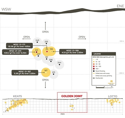 Figure 1. Golden Joint location and long-section

Note: Golden Joint HW intervals not included on this long-section (see Table 2) (CNW Group/New Found Gold Corp.)