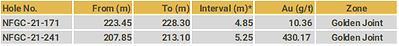 Highlights (CNW Group/New Found Gold Corp.)