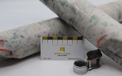 Figure 3. Example gold mineralization from NFGC-21-182. From drill core interval between 285m and 321m down hole. Note that these photos are not intended to be representative of gold mineralization in hole NFGC-21-182. (CNW Group/New Found Gold Corp.)