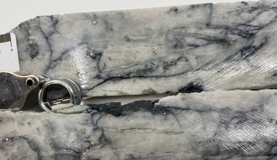 Figure 3. Example gold mineralization from NFGC-21-182, From drill core interval between 285m and 321m down hole. Note that these photos are not intended to be representative of gold mineralization in hole NFGC-21-182. (CNW Group/New Found Gold Corp.)
