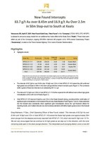 VIEW PDF (CNW Group/New Found Gold Corp.)
