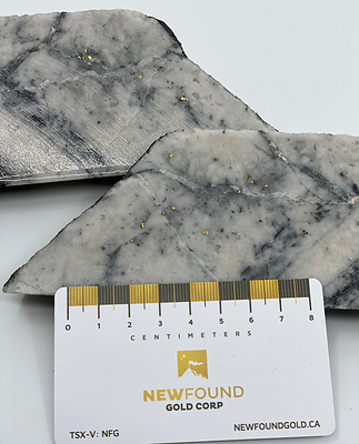 Figure 2. Example gold mineralization in Keats hole NFGC-20-23 (CNW Group/New Found Gold Corp.)