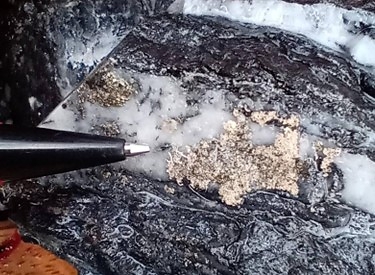 Figure 4: Abundant coarse (up to 2 cm x 1.5 cm) electrum in deeper Naranjos drill holes pending assay. This is some of the coarsest and more abundant electrum observed in core to date. Coarse electrum generally correlates with high-grade assays. (CNW Group/Outcrop Silver & Gold Corporation)