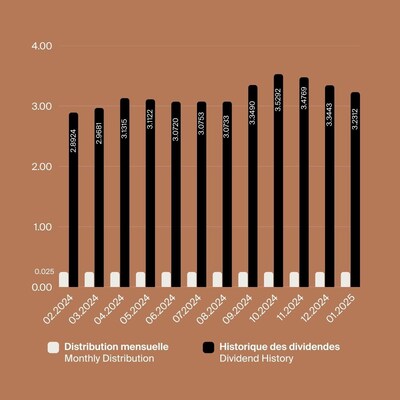 Dividend History 02.2025 (CNW Group/BTB Real Estate Investment Trust)