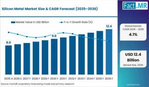 silicon metal market