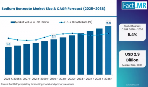 Sodium Benzoate Market