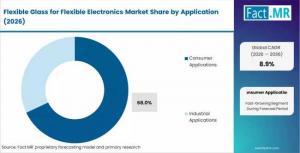 Flexible Glass for Flexible Electronics Market Analysis