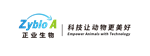 Primary Logo