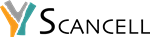 Primary Logo
