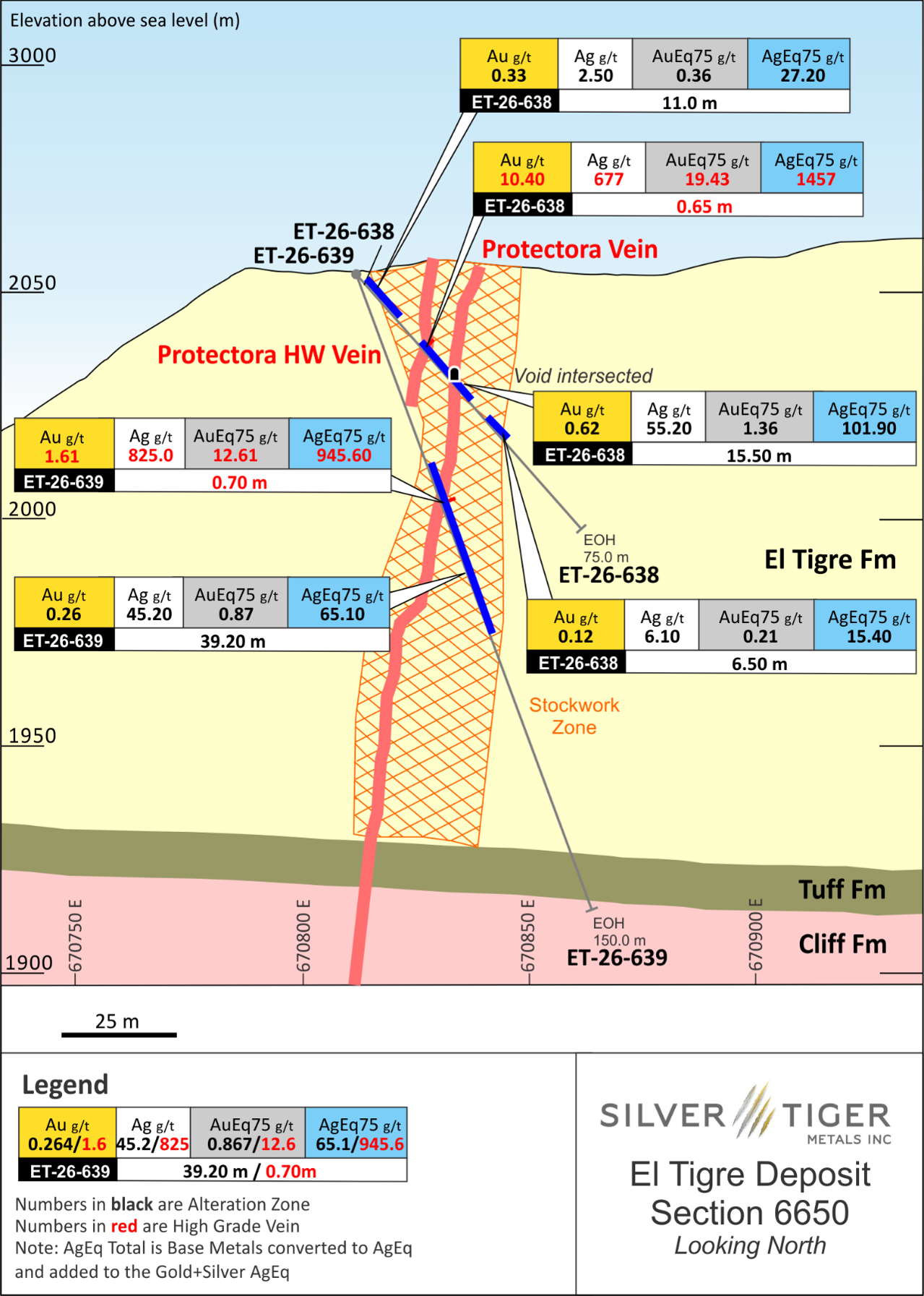 Figure 3 : Cross Section 6650 - Protectora and Stockwork Drilling