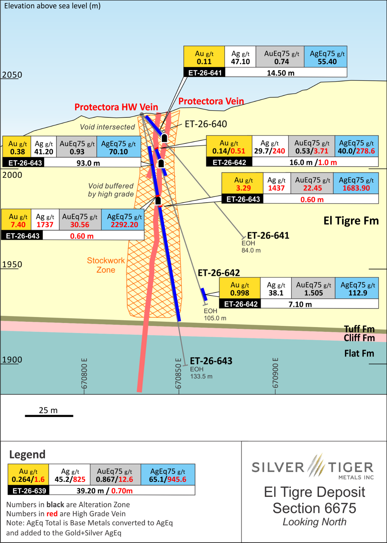 Figure 2: Cross Section 6675 - Protectora and Stockwork Drilling