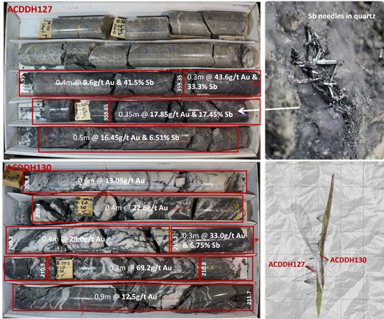 Figure 2: High grade Au and Sb from ACDDH127 and ACDDH130.To view an enhanced version of this graphic, please visit:https://images.newsfilecorp.com/files/10755/317277_b2cafcc0e4a3ca99_018full.jpg
