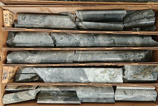 Figure 3: Photo of altered, pyrite-bearing diorite at 218 meters in EC-11.