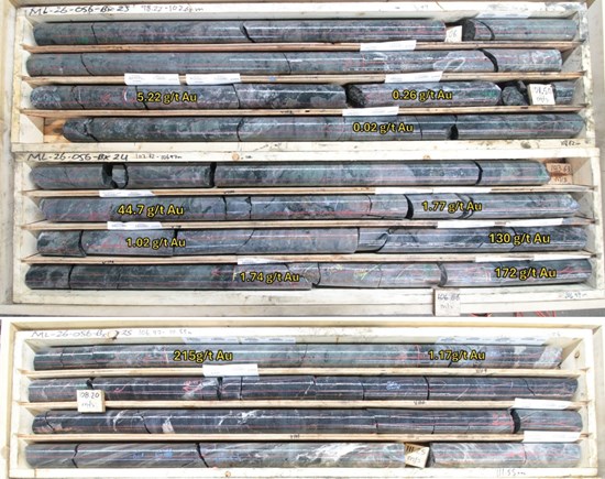 Figure 2: Core Photos of Mineralized Zone in ML26-056