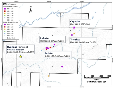 Figure 6: Summary of LCT pegmatite showings at the Pontax Property (Block C). (CNW Group/PMET Resources Inc.)